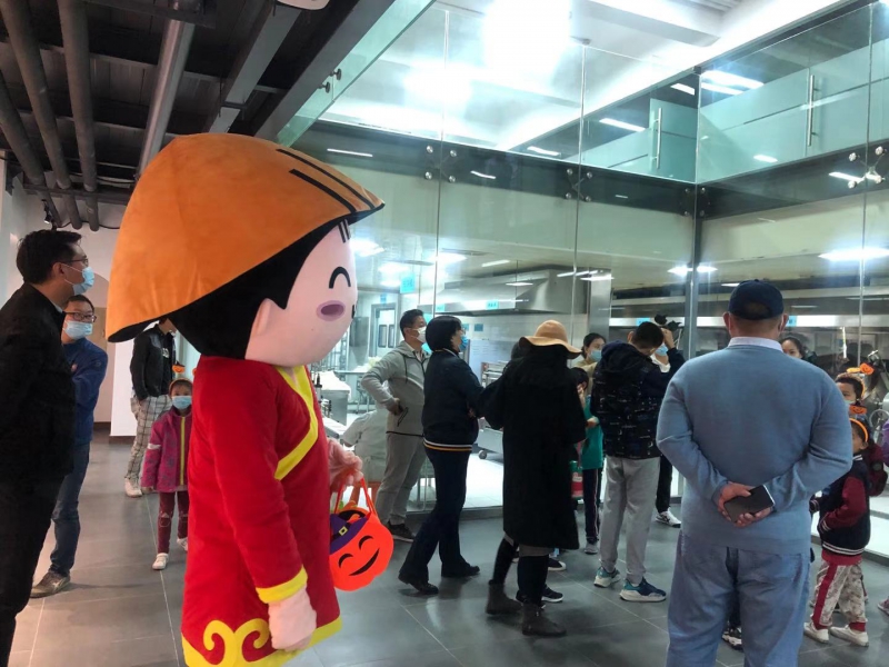 哈密灵芝妹子